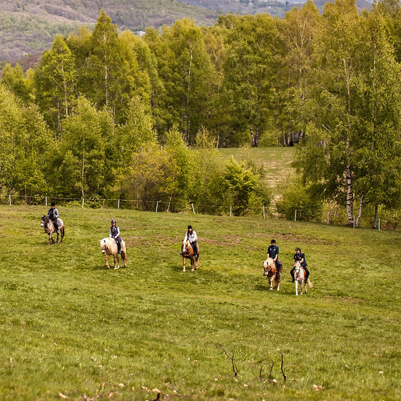 HORSE RIDING